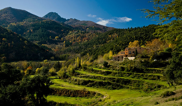 Calaix de sastre